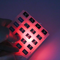 Custom Made Backlit Rubber Keyboard